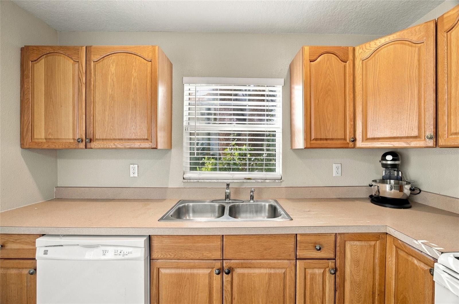 18509 BITTERN AVENUE, Lutz, FL 33558