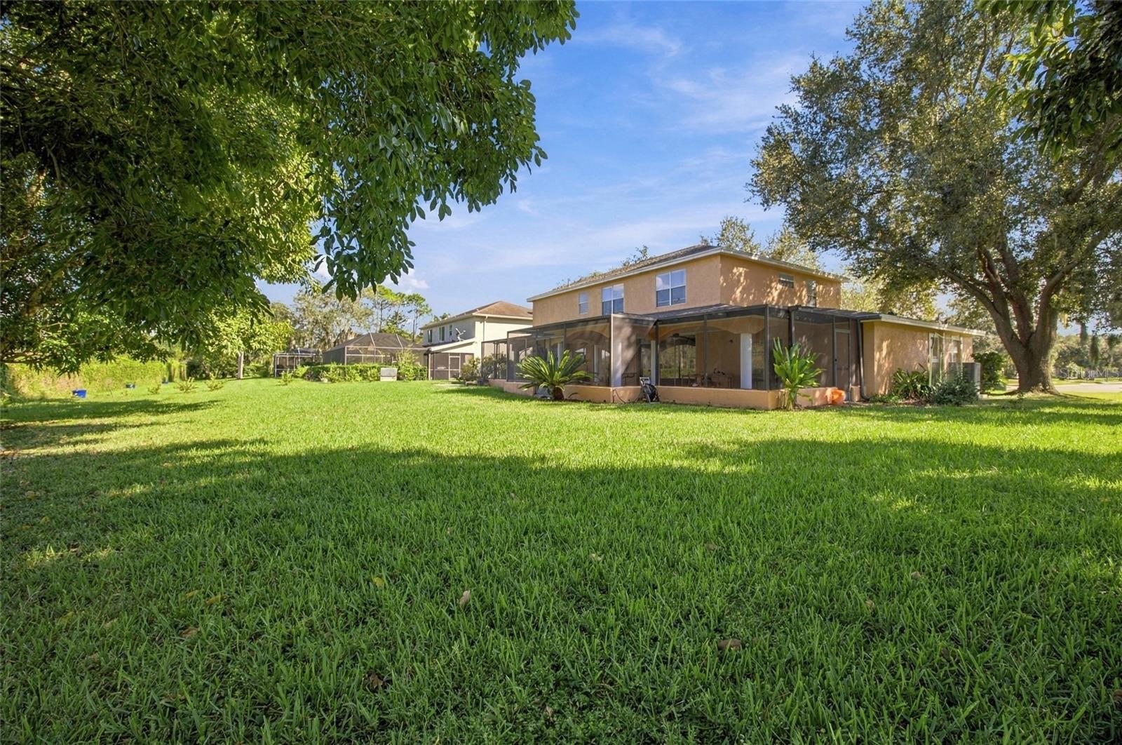 18509 BITTERN AVENUE, Lutz, FL 33558