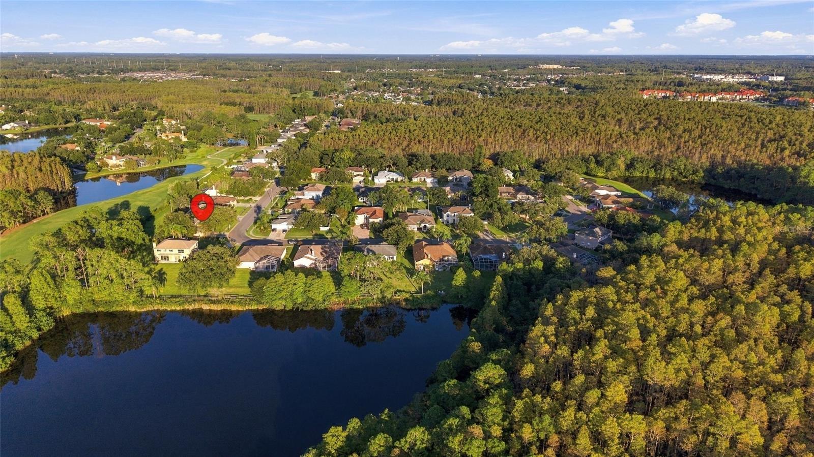 18509 BITTERN AVENUE, Lutz, FL 33558