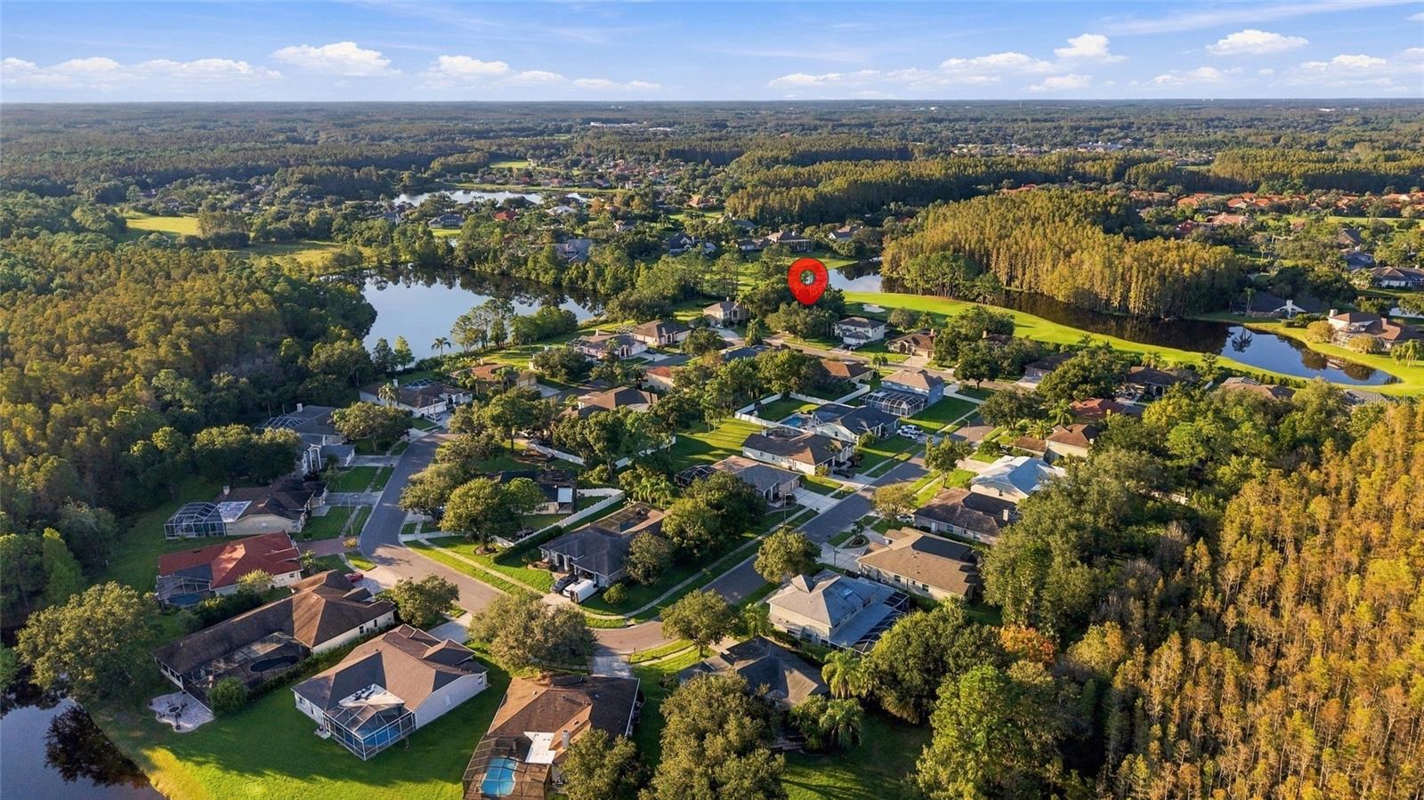 18509 BITTERN AVENUE, Lutz, FL 33558