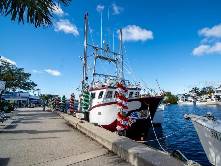 503 WINDRUSH BAY DRIVE, Tarpon Springs, FL 34689