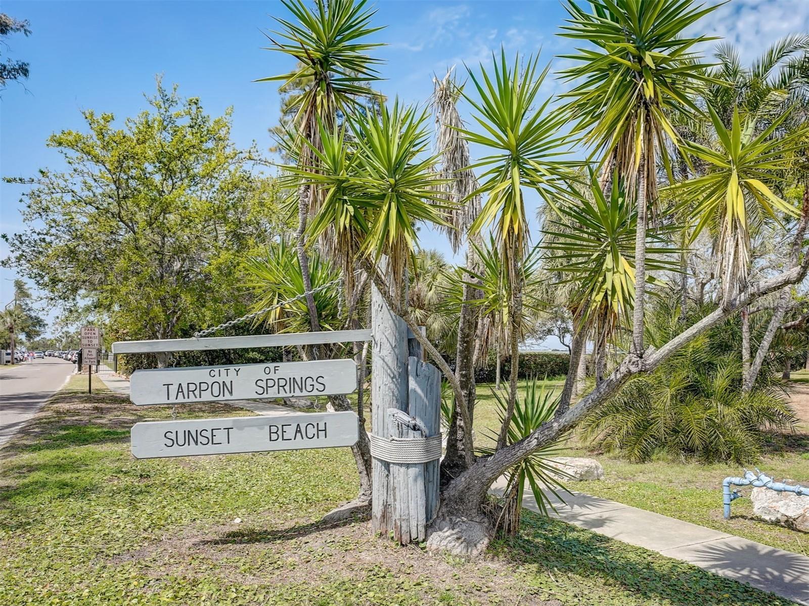 503 WINDRUSH BAY DRIVE, Tarpon Springs, FL 34689