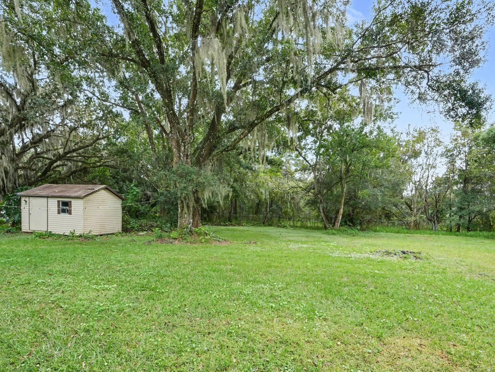 Detached storage building on expansive, shaded property