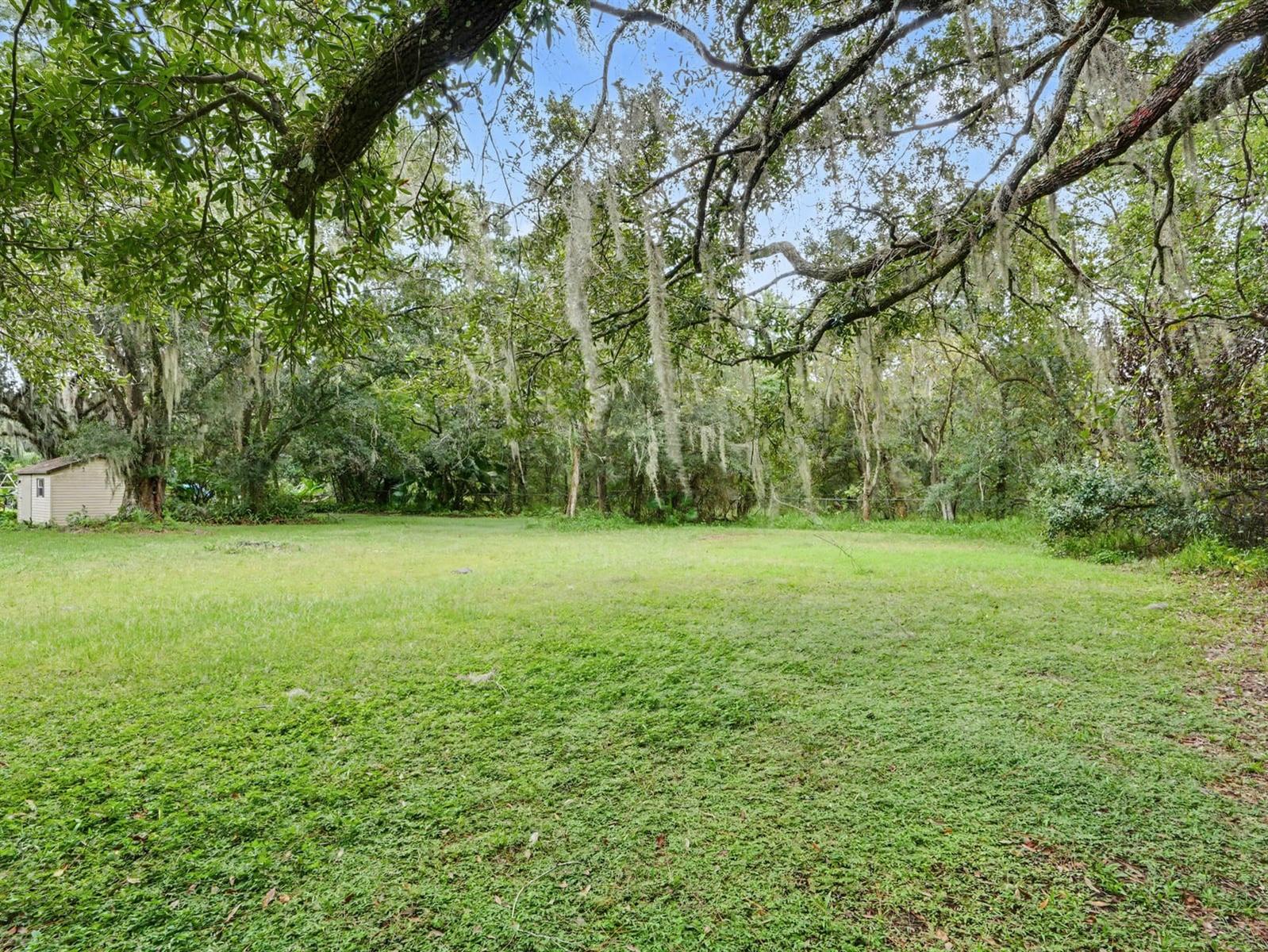 Pastoral setting with mature trees and ample open land