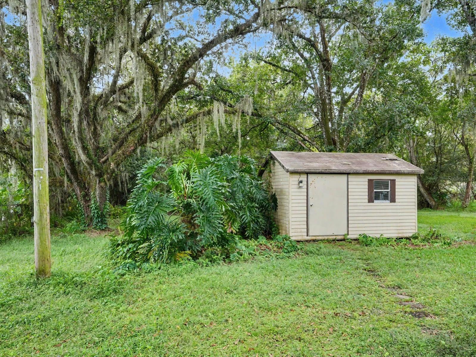 Storage shed nestled among mature oak trees with Spanish moss