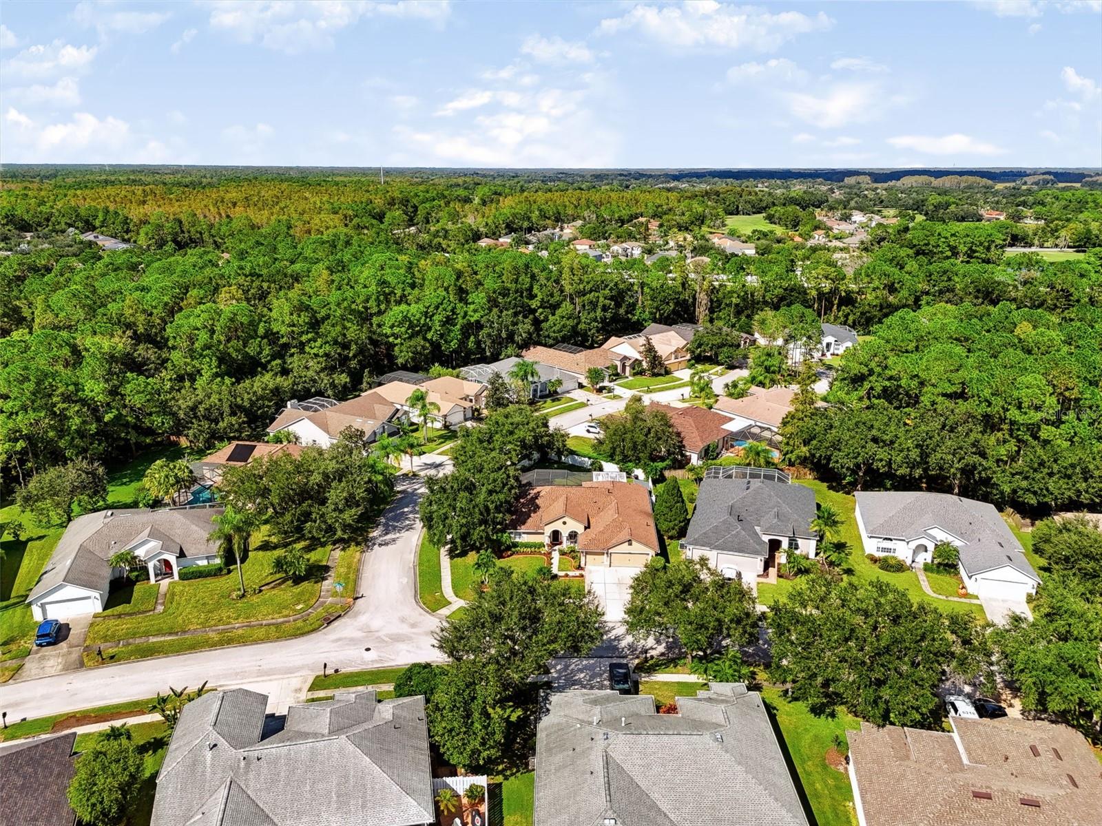 12541 LEATHERLEAF DRIVE, Tampa, FL 33626 12541 LEATHERLEAF DRIVE, Tampa, FL 33626