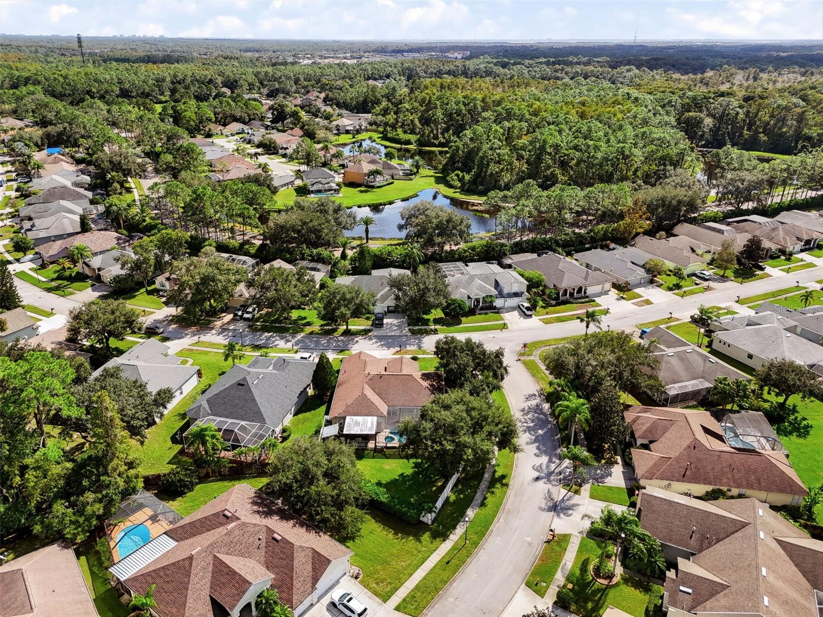 12541 LEATHERLEAF DRIVE, Tampa, FL 33626