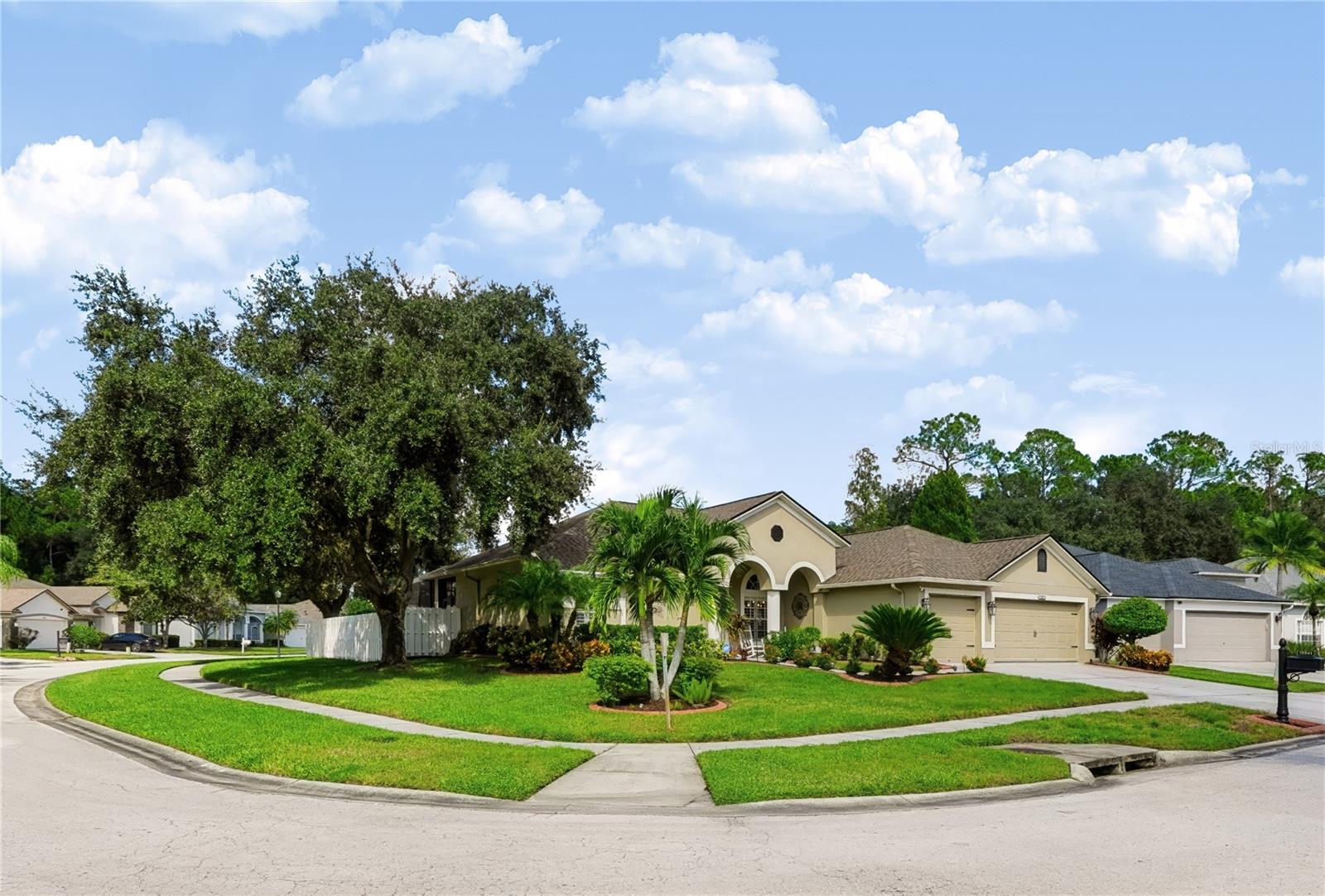 12541 LEATHERLEAF DRIVE, Tampa, FL 33626