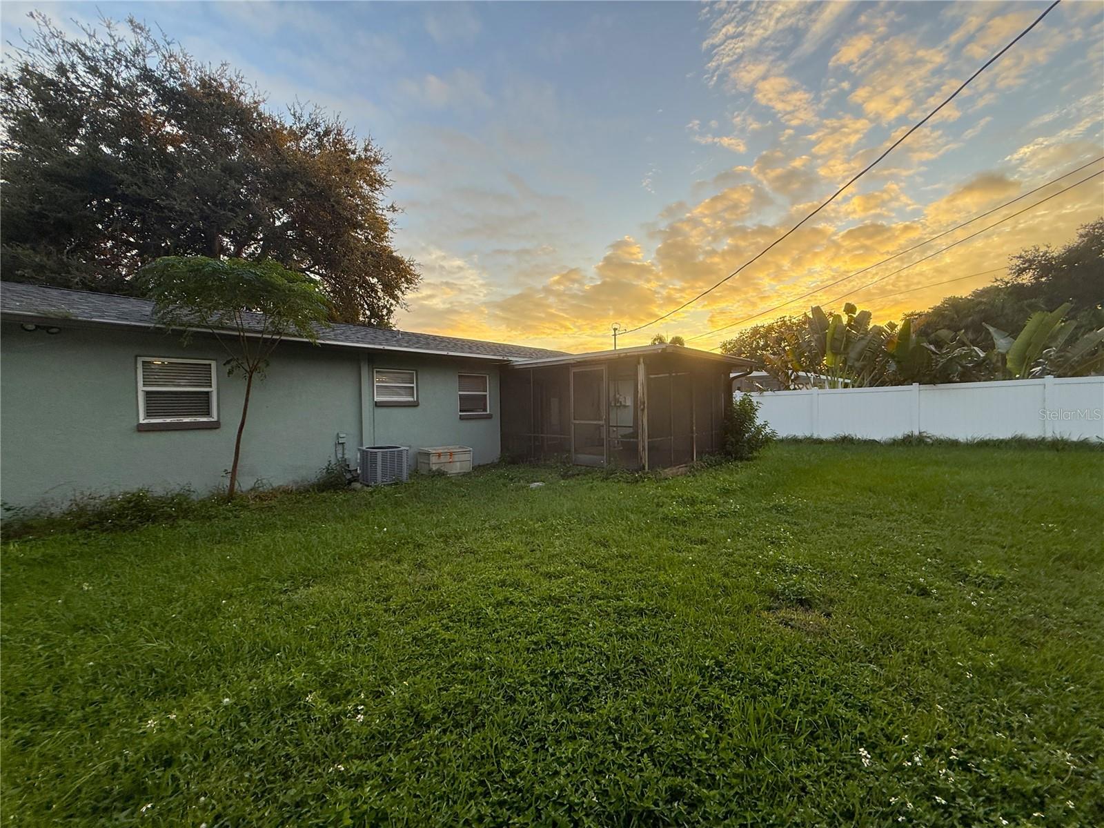 Large Back Yard
