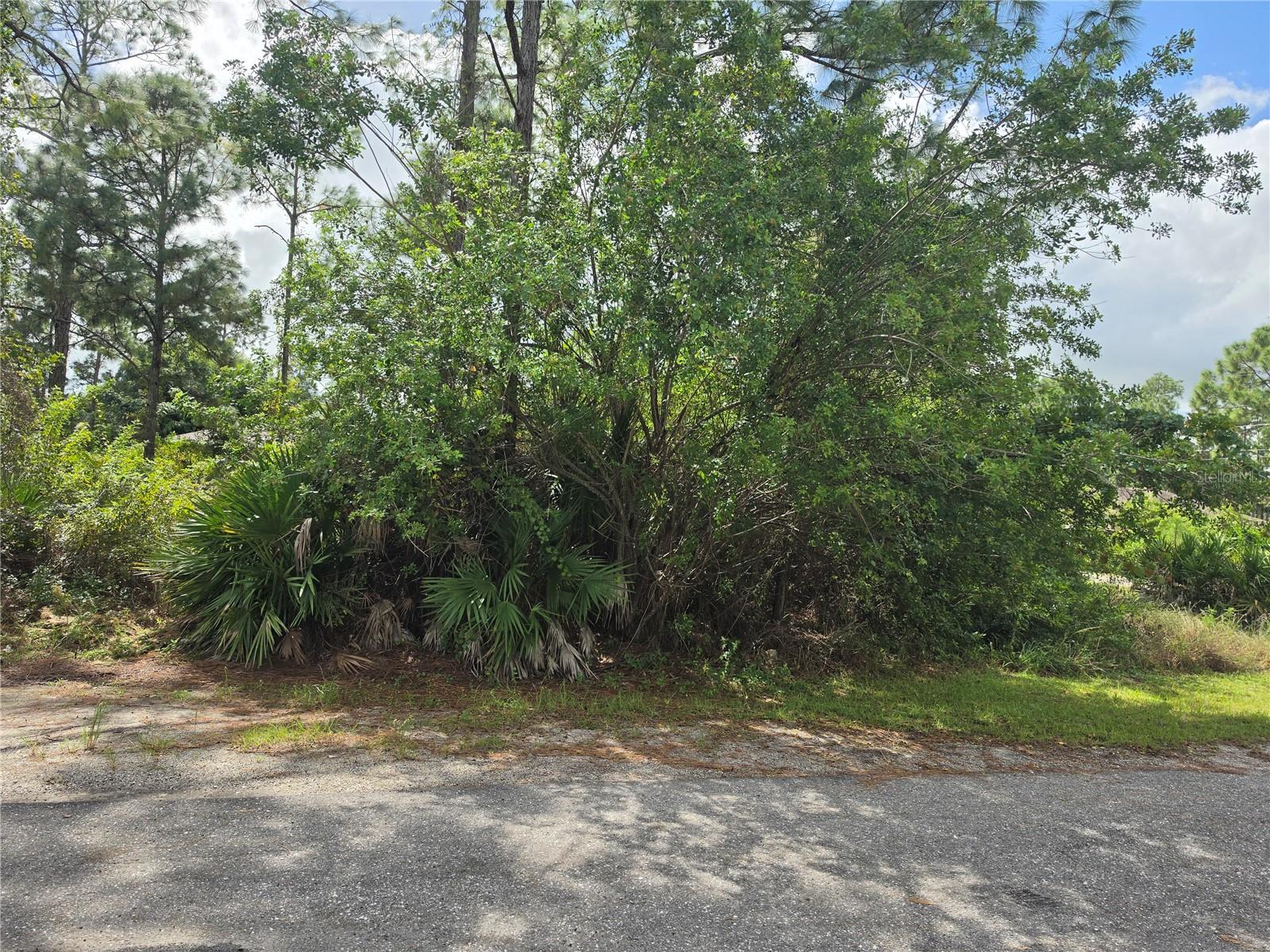 902 E 15TH STREET, Lehigh Acres, FL 33972