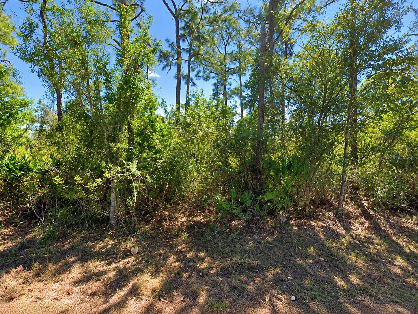 902 E 15TH STREET, Lehigh Acres, FL 33972