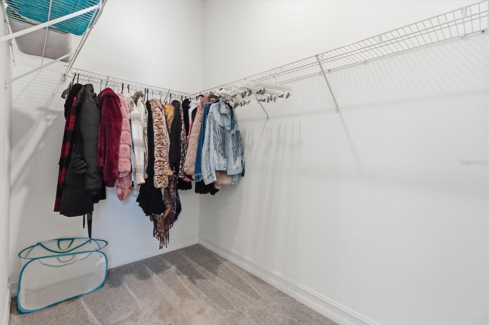 Guest Bedroom Walk-In Closet