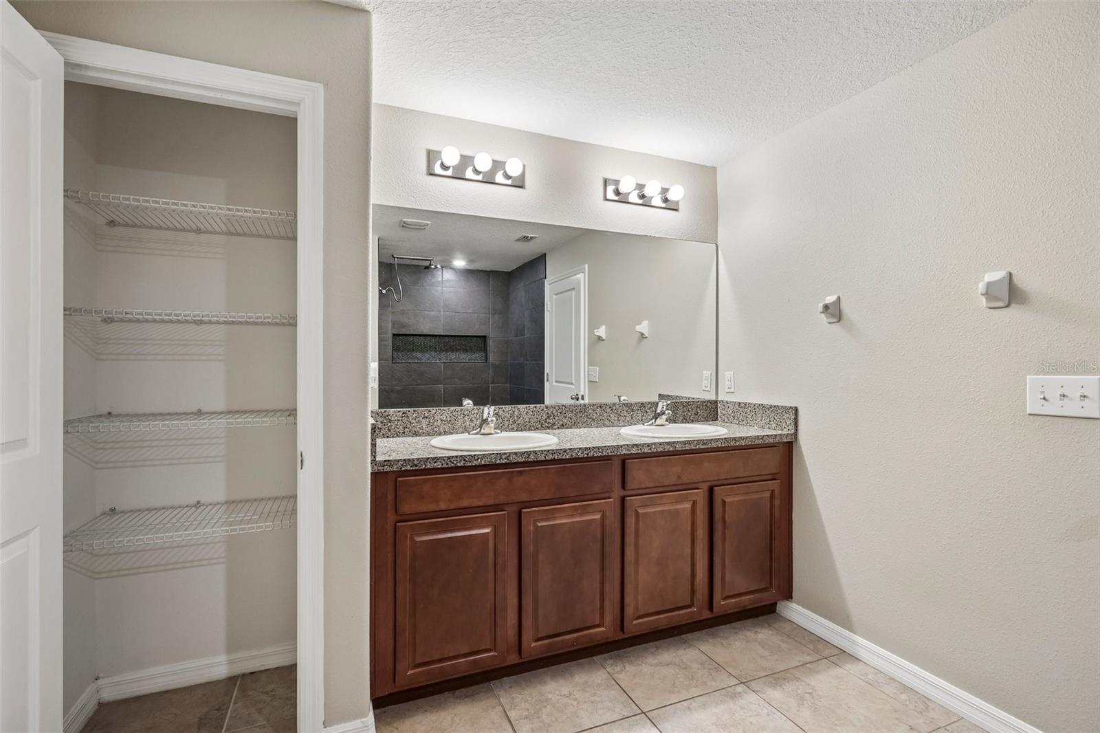 4103 GLOBE THISTLE DRIVE, Tampa, FL 33619