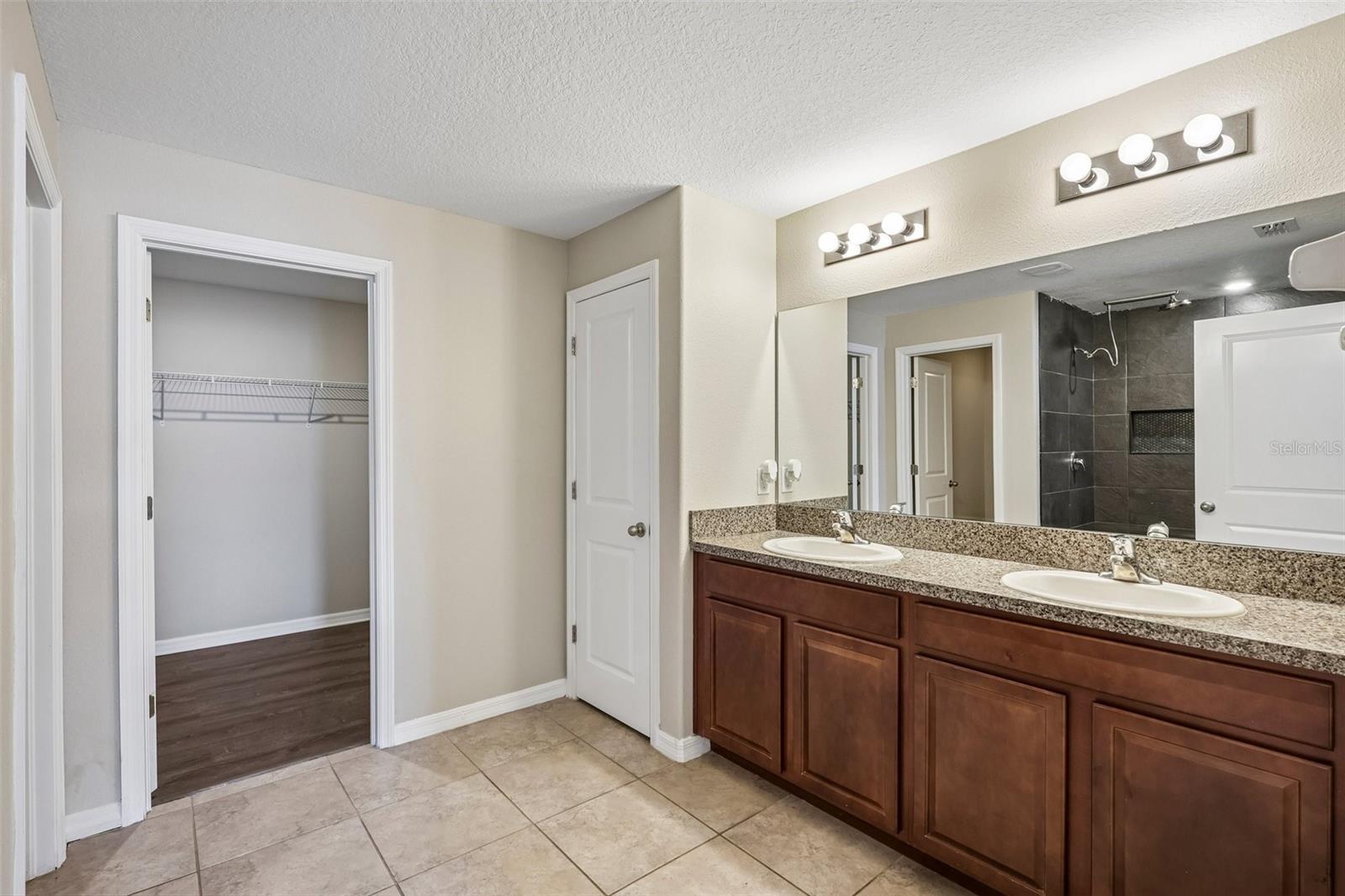 4103 GLOBE THISTLE DRIVE, Tampa, FL 33619