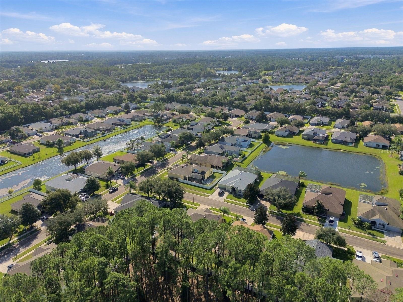20827 WOODVALE LANE, Land O Lakes, FL 34638