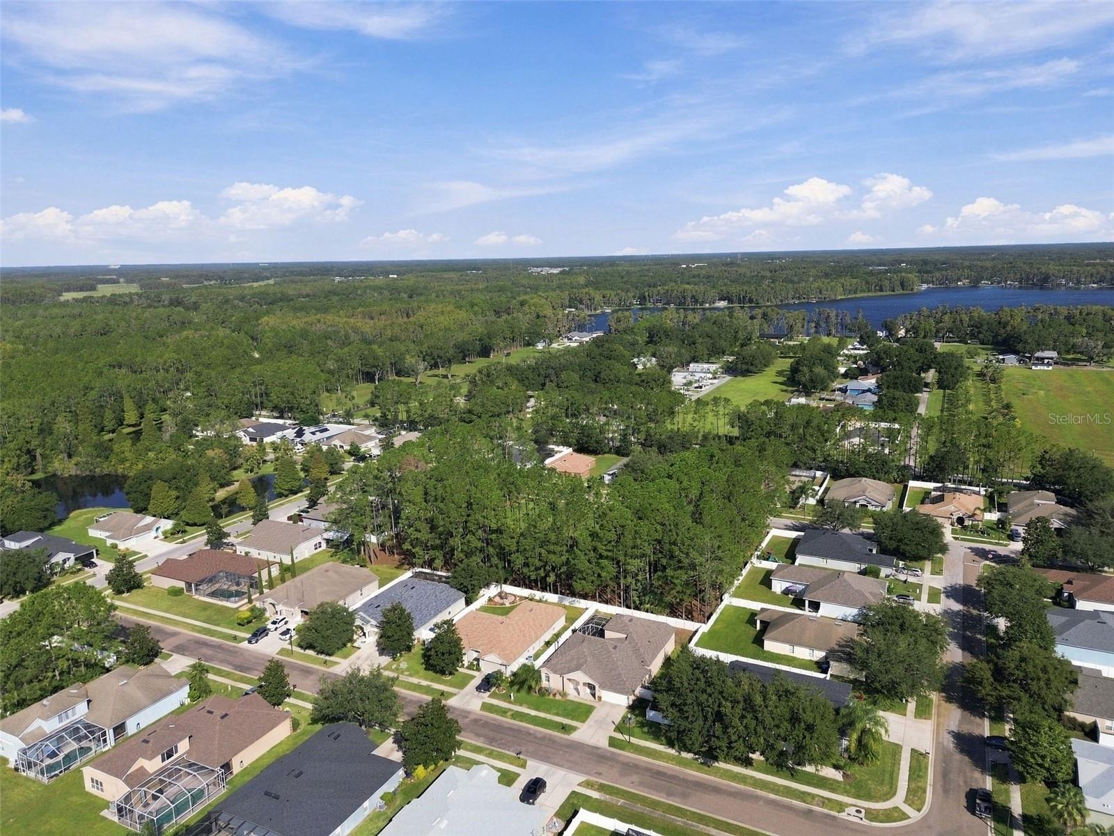 20827 WOODVALE LANE, Land O Lakes, FL 34638