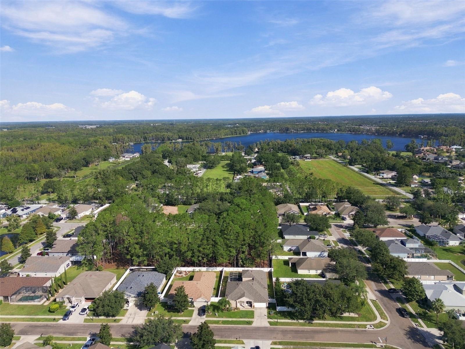 20827 WOODVALE LANE, Land O Lakes, FL 34638