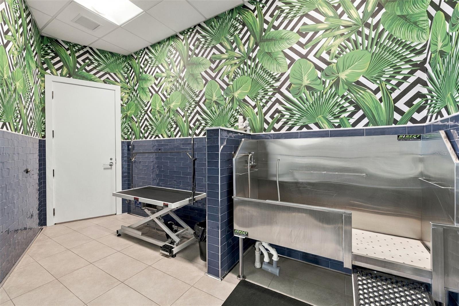 Dog Grooming Room