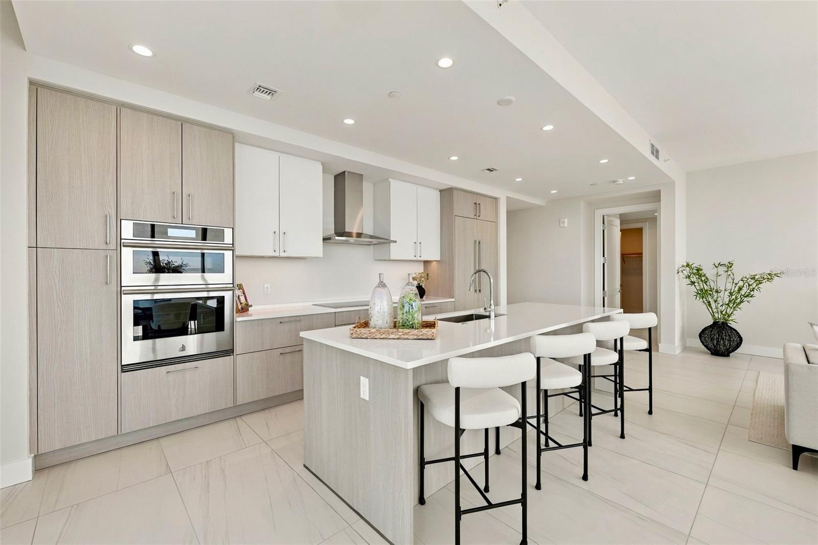 275 1ST AVENUE S, #3606, St Petersburg, FL 33701