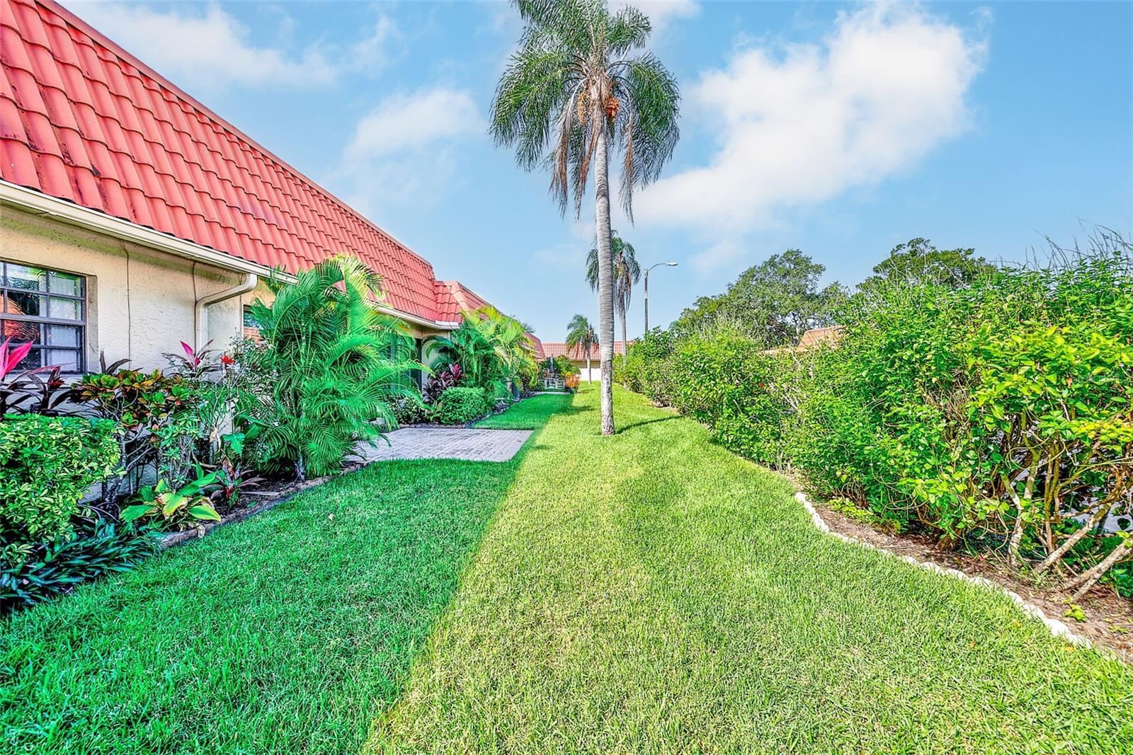 View of back yard