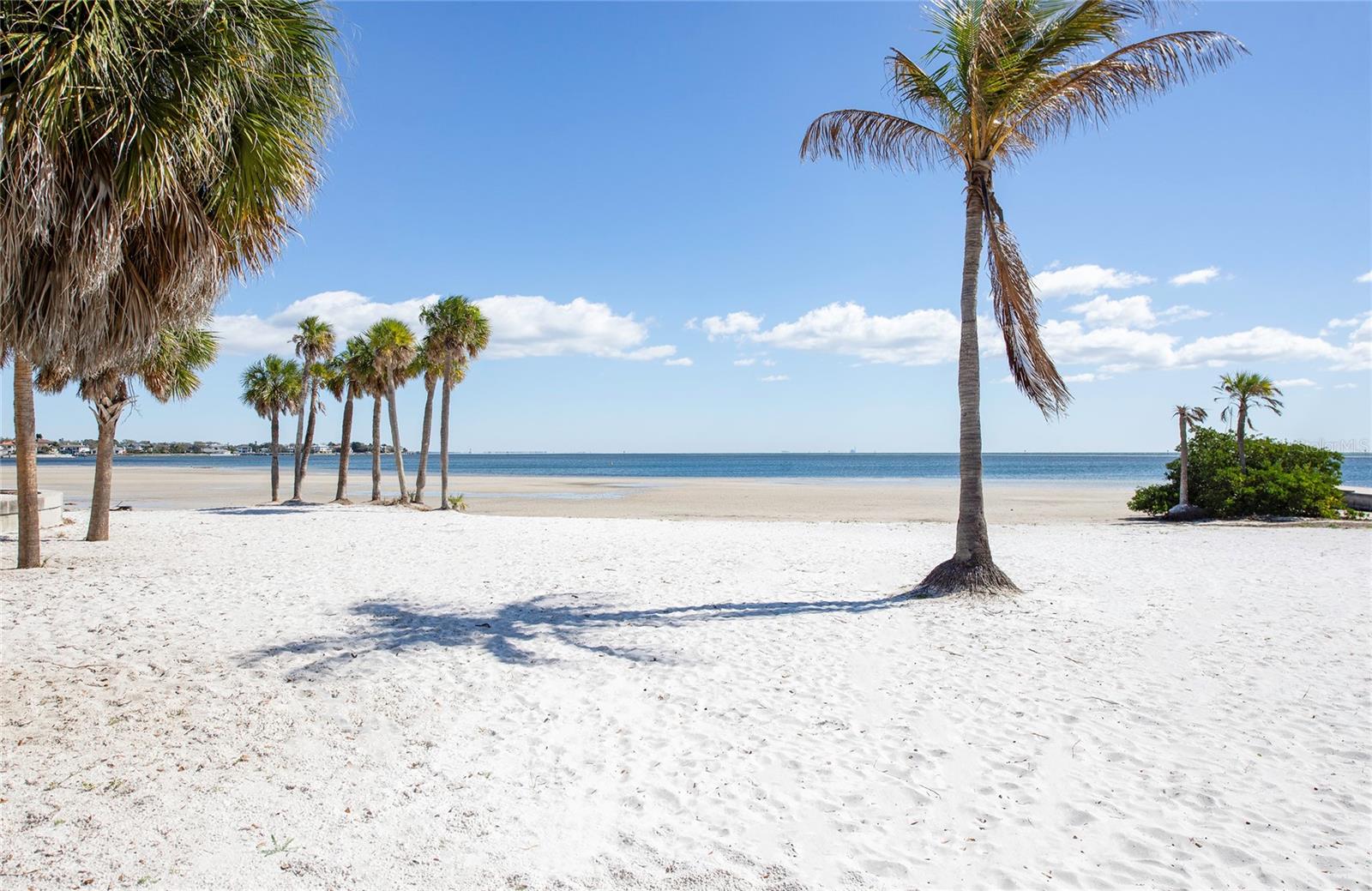 700 BEACH DRIVE NE, #701, St Petersburg, FL 33701