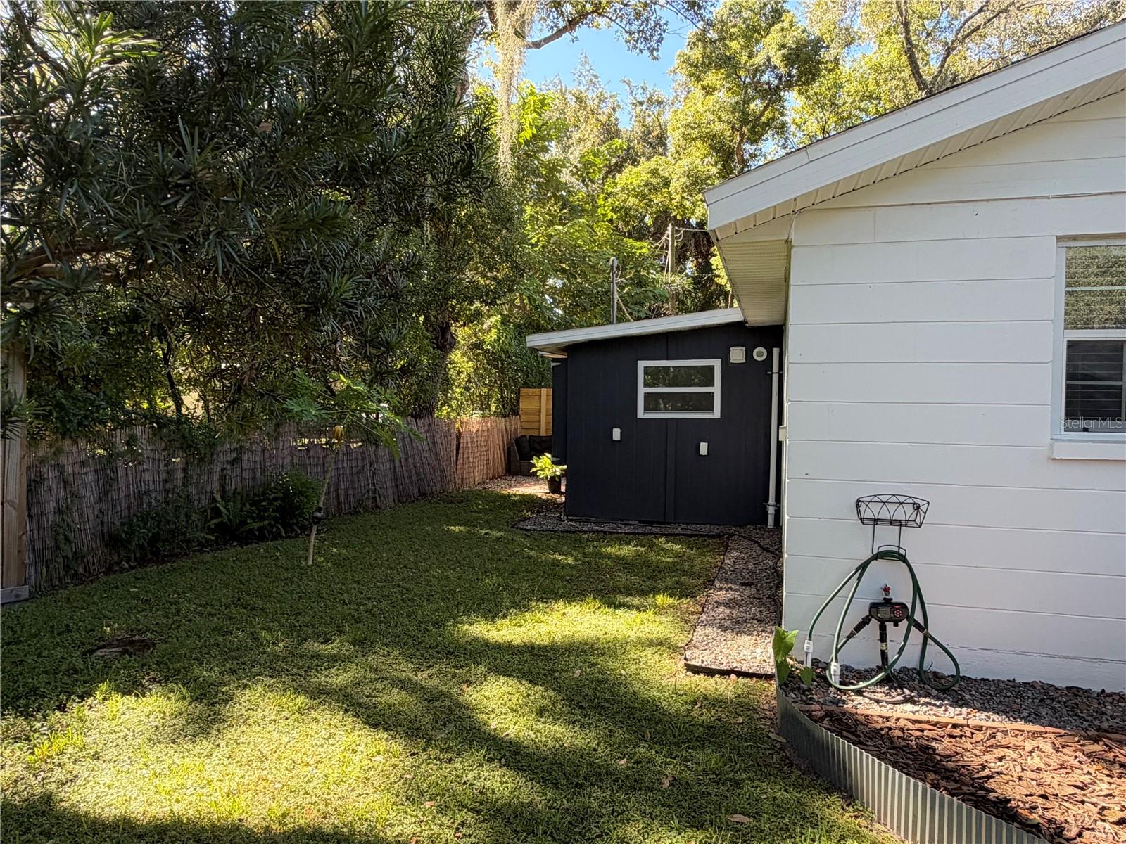 Backyard