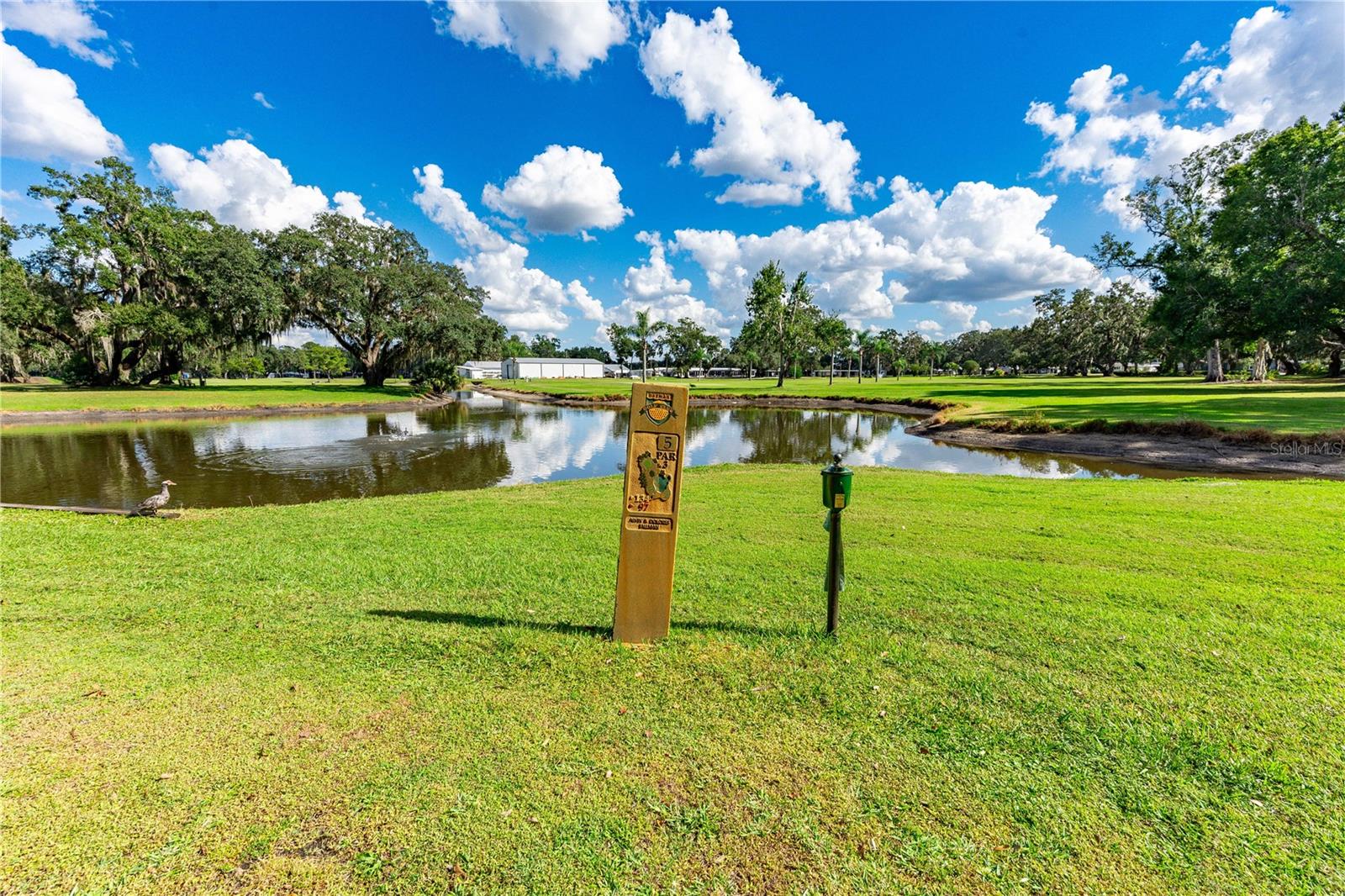 37332 SANDRA AVENUE, Zephyrhills, FL 33542