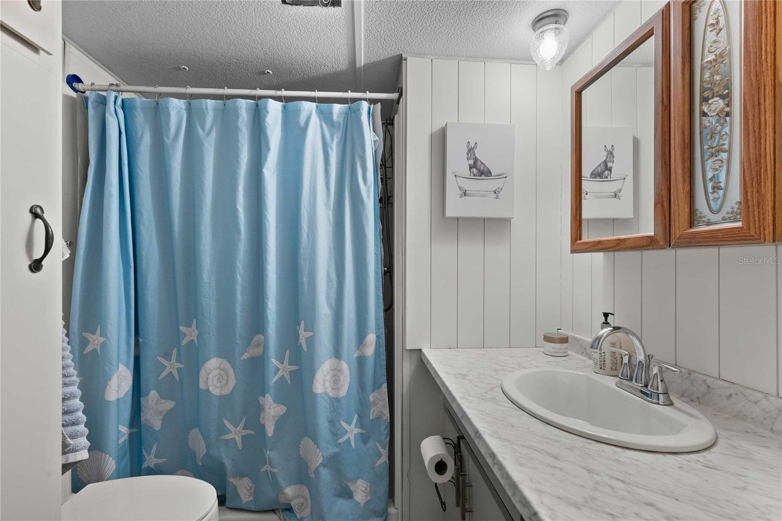 Guest bathroom.