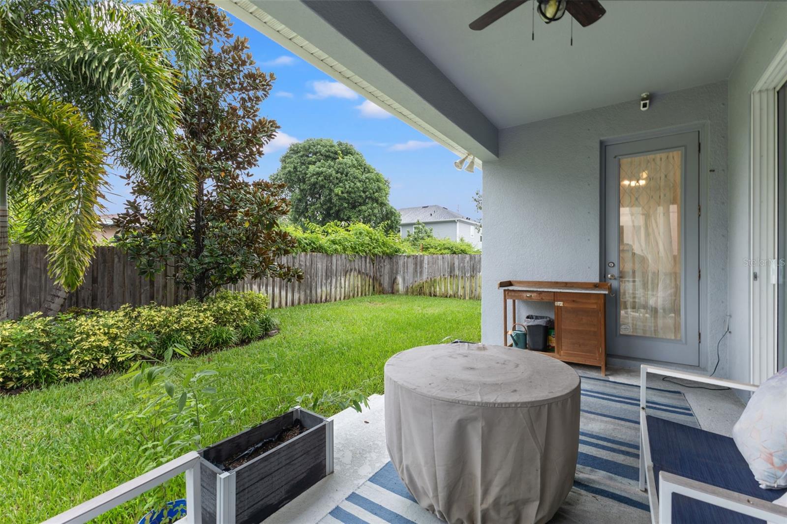 backyard