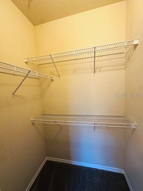 10203 COURTNEY PALMS BOULEVARD, #202, Tampa, FL 33619