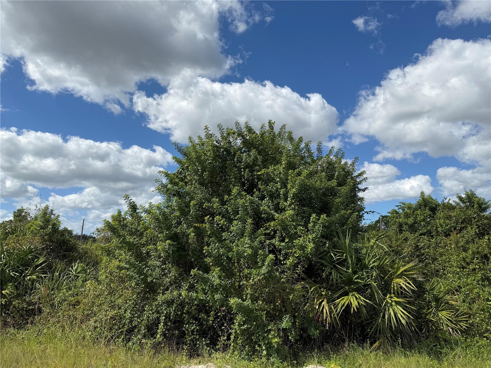 1209 PLUMOSA AVENUE, #3, Lehigh Acres, FL 33972
