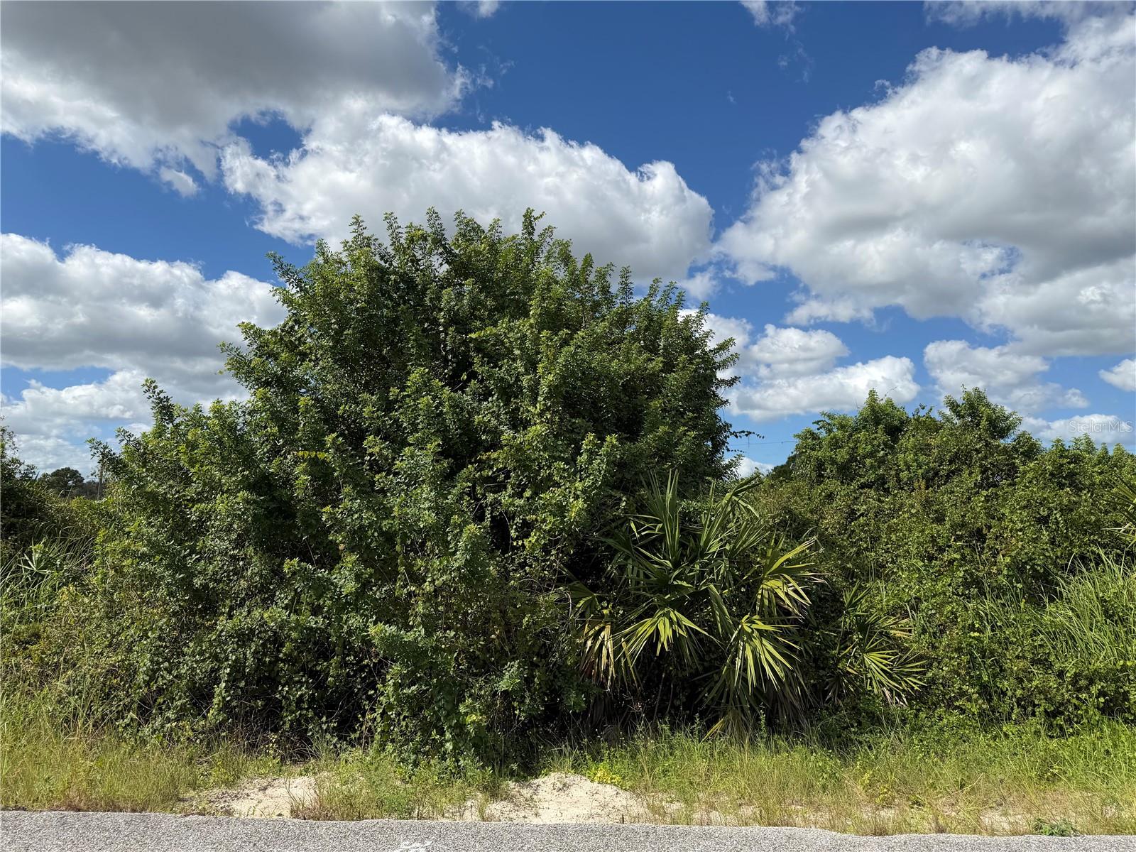 1209 PLUMOSA AVENUE, #3, Lehigh Acres, FL 33972