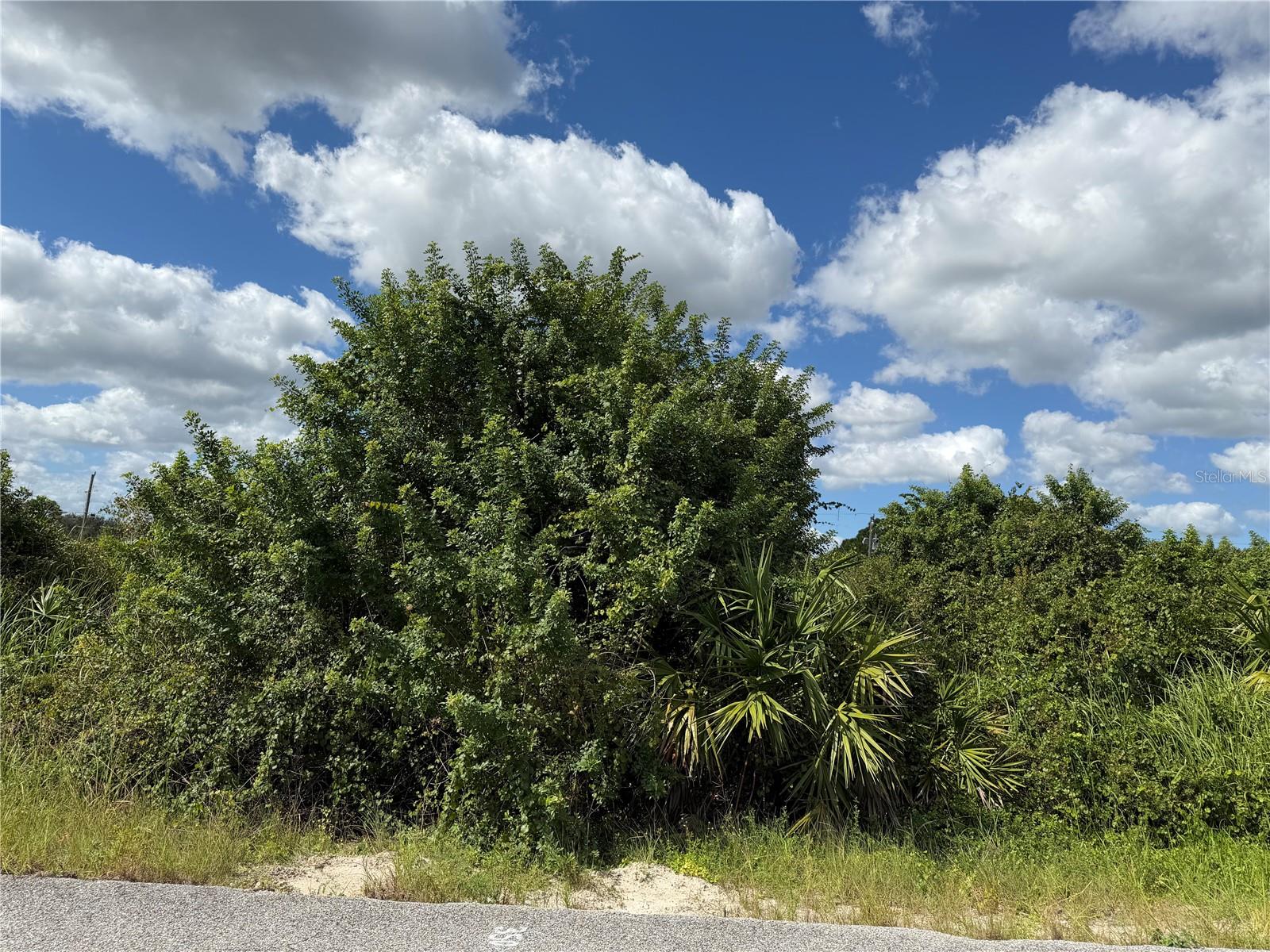 1209 PLUMOSA AVENUE, #3, Lehigh Acres, FL 33972