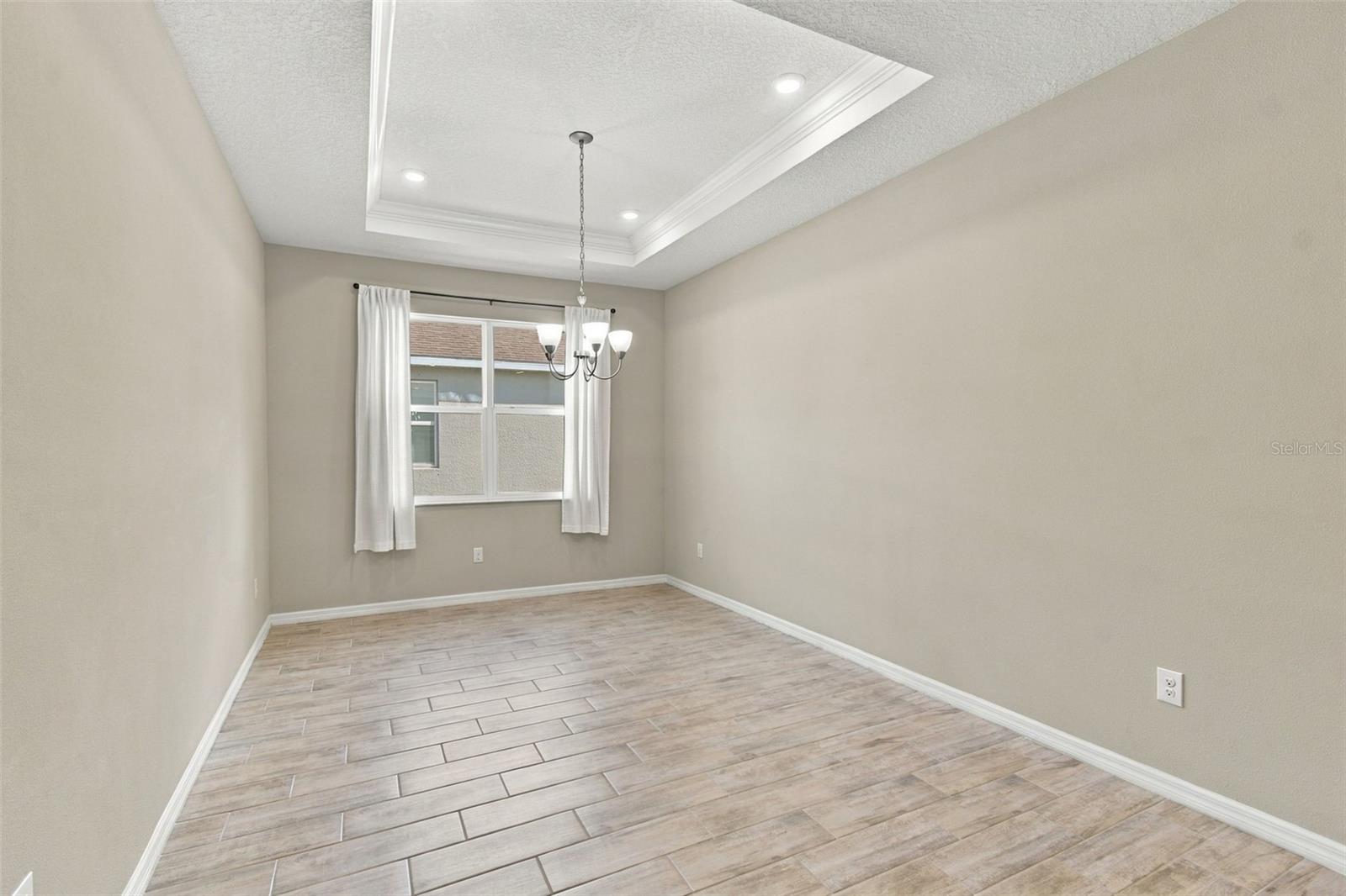 Dining Room with tray ceiling