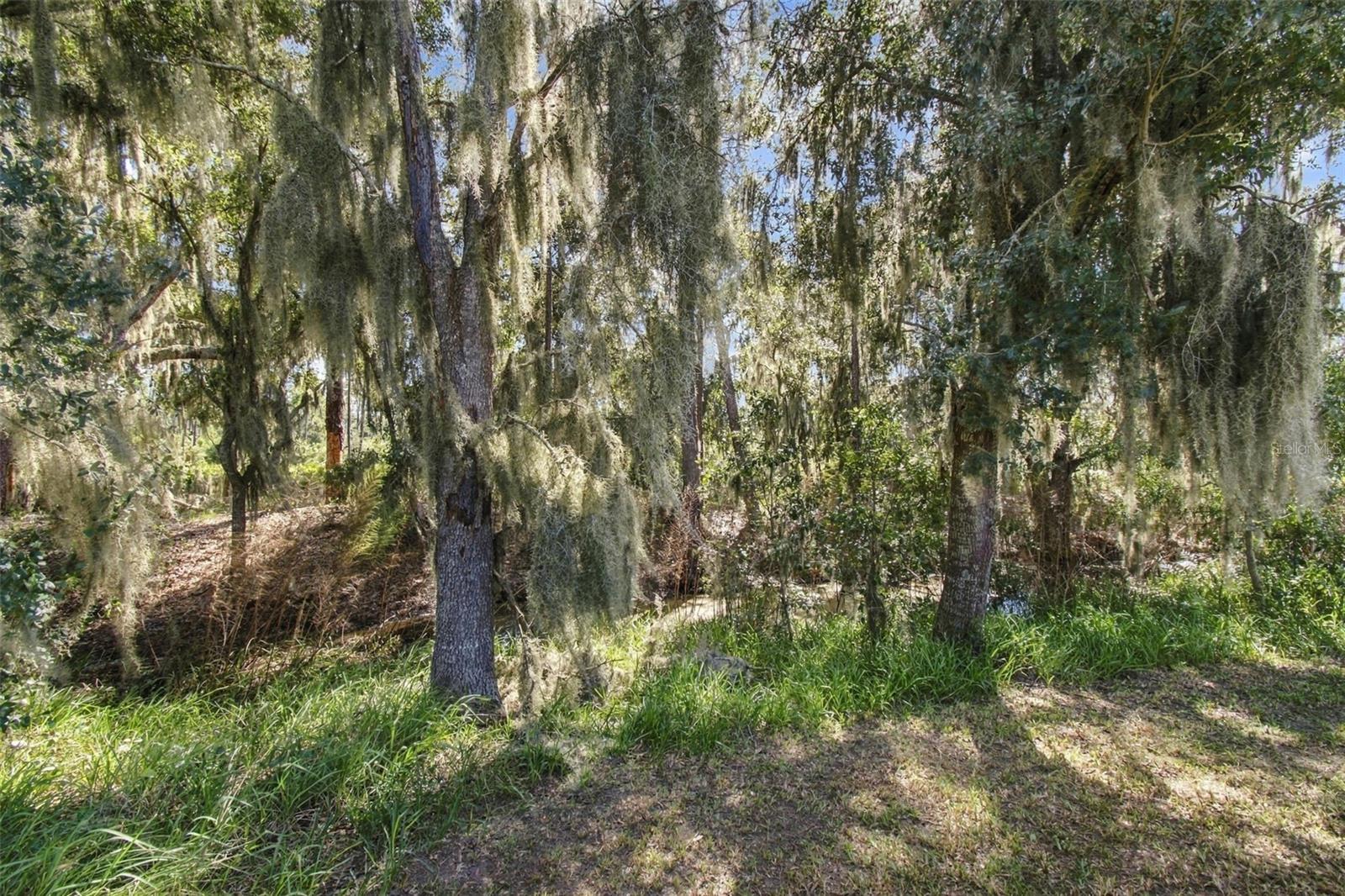 A center fence gate leads to conservation