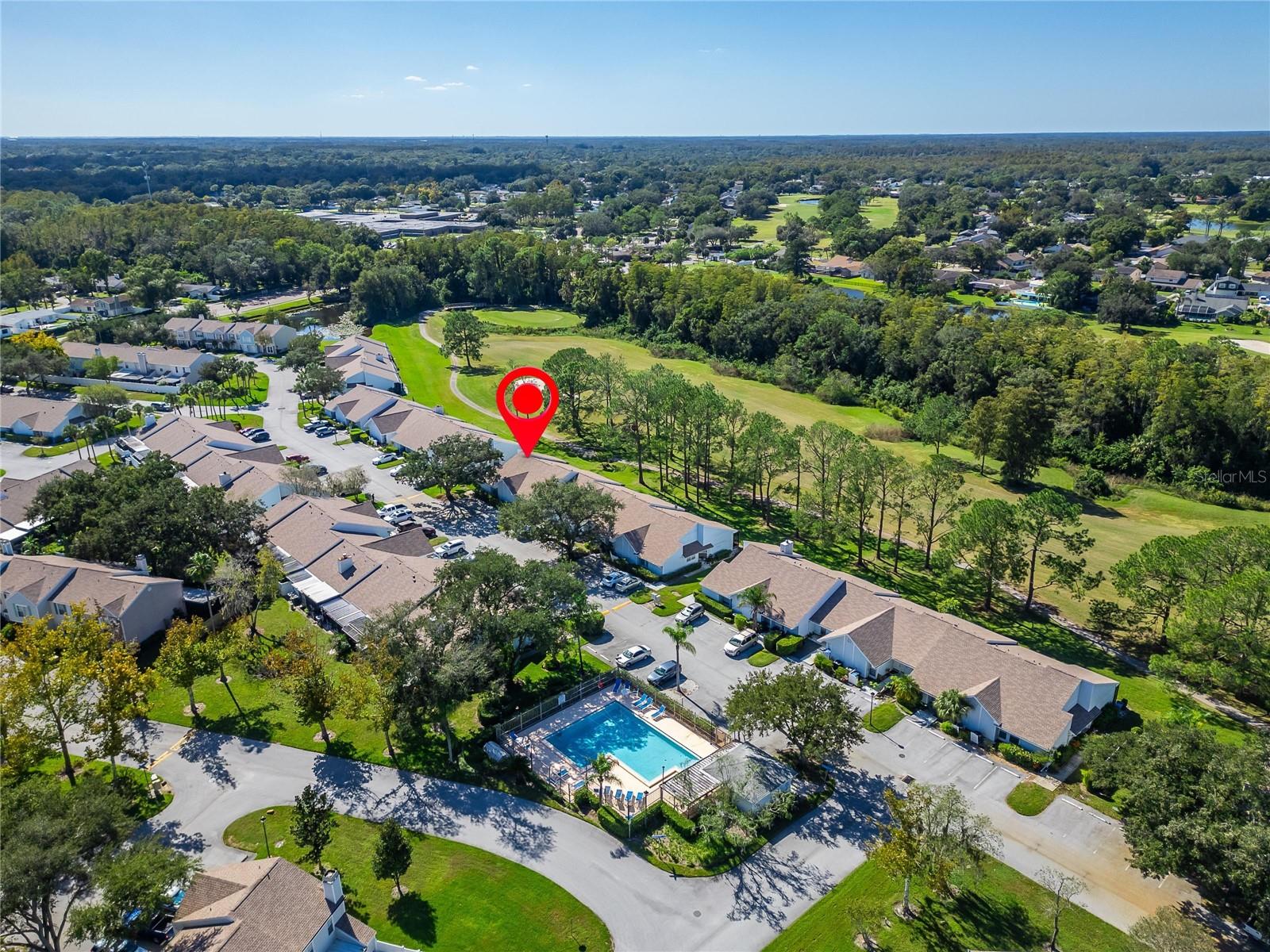 16216 RAMBLING VINE DRIVE W, Tampa, FL 33624