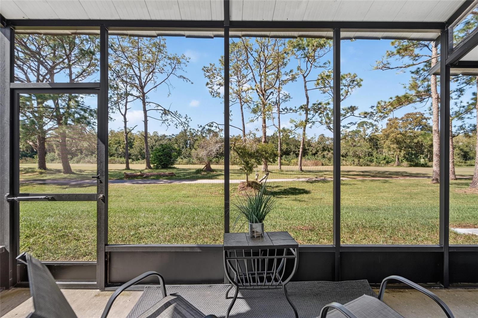 16216 RAMBLING VINE DRIVE W, Tampa, FL 33624