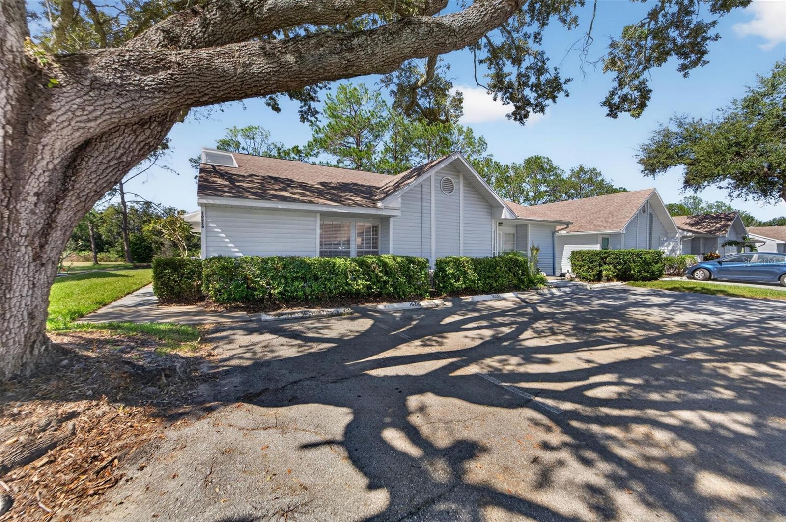 16216 RAMBLING VINE DRIVE W, Tampa, FL 33624