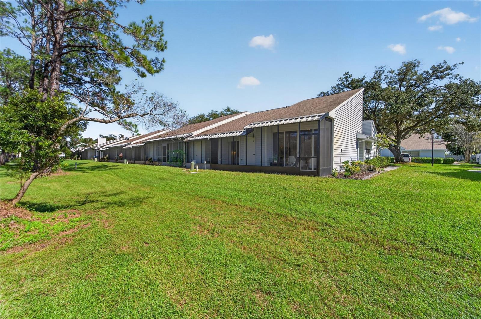 16216 RAMBLING VINE DRIVE W, Tampa, FL 33624