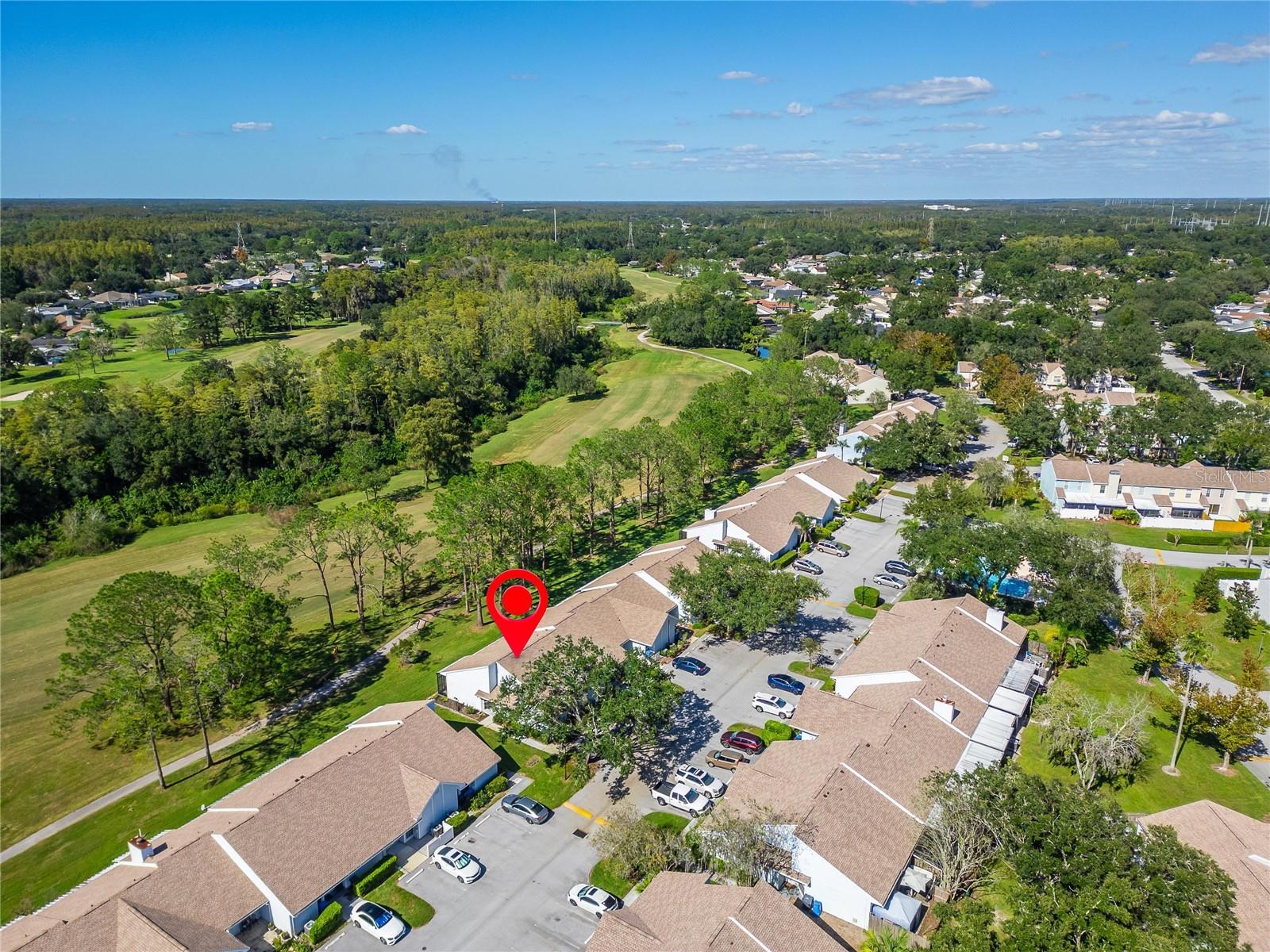 16216 RAMBLING VINE DRIVE W, Tampa, FL 33624