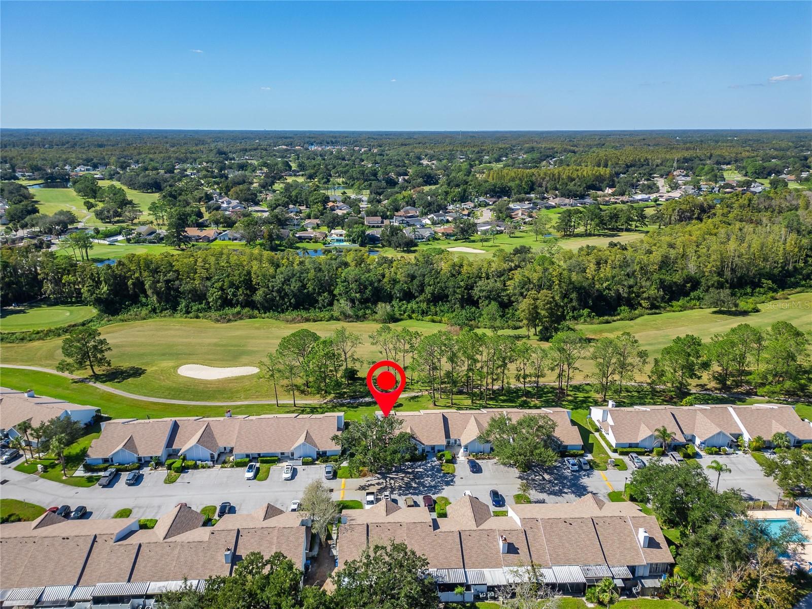 16216 RAMBLING VINE DRIVE W, Tampa, FL 33624