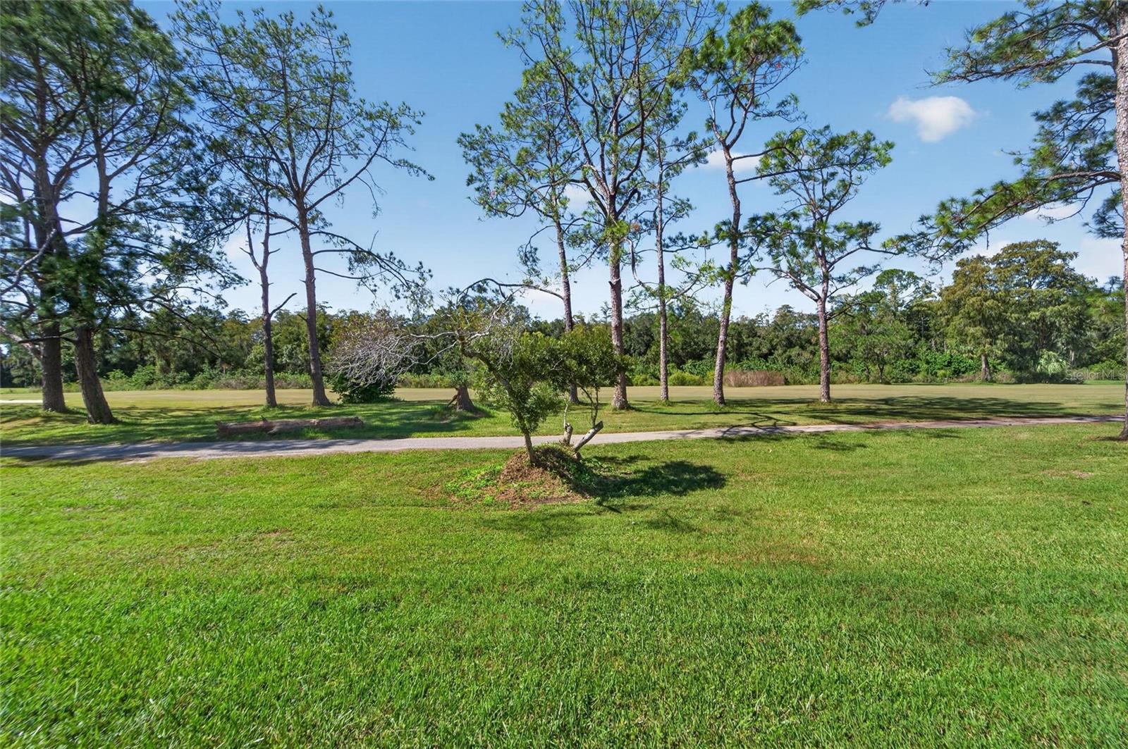 16216 RAMBLING VINE DRIVE W, Tampa, FL 33624