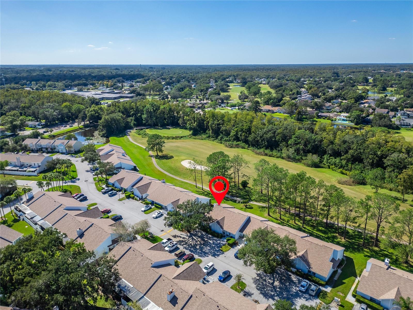 16216 RAMBLING VINE DRIVE W, Tampa, FL 33624