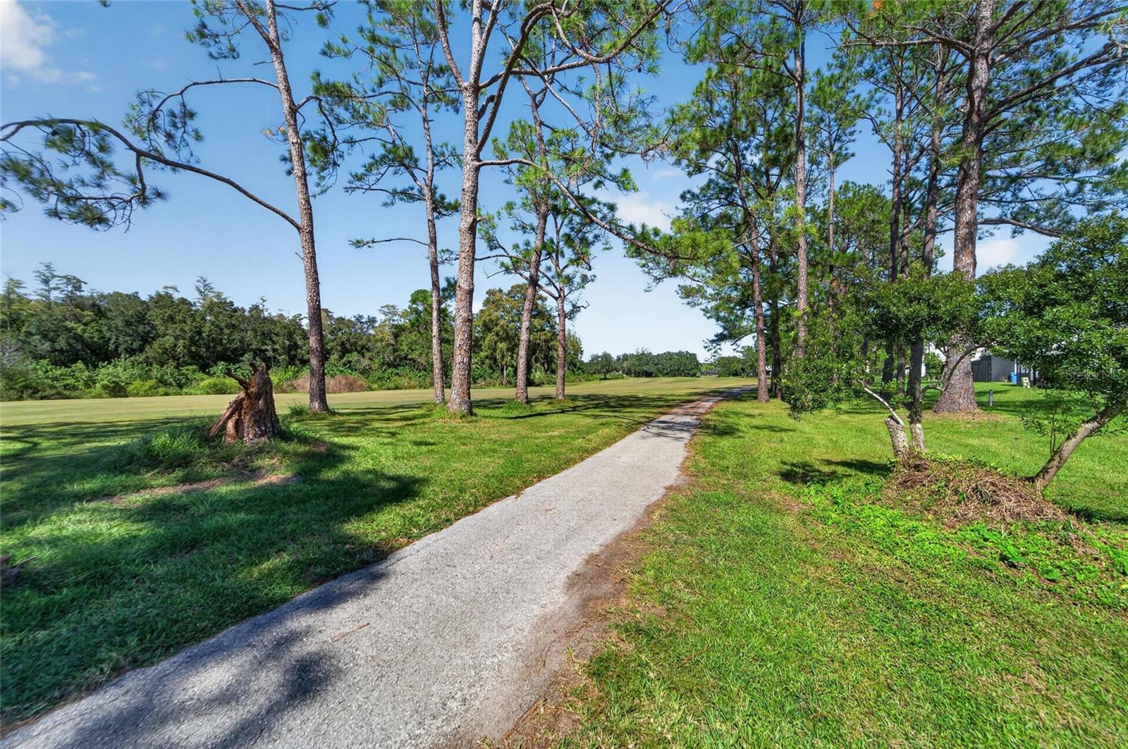 16216 RAMBLING VINE DRIVE W, Tampa, FL 33624
