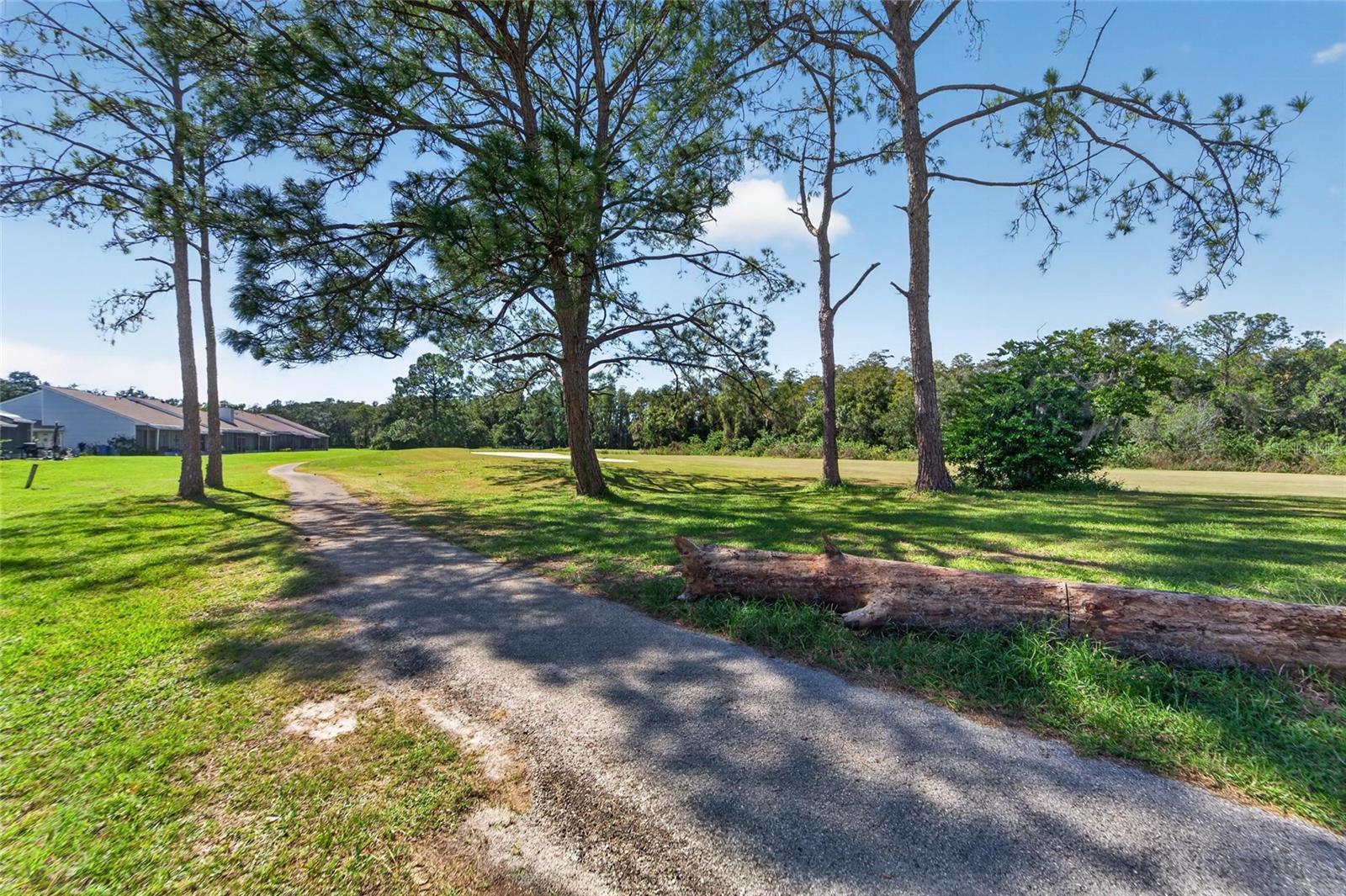 16216 RAMBLING VINE DRIVE W, Tampa, FL 33624