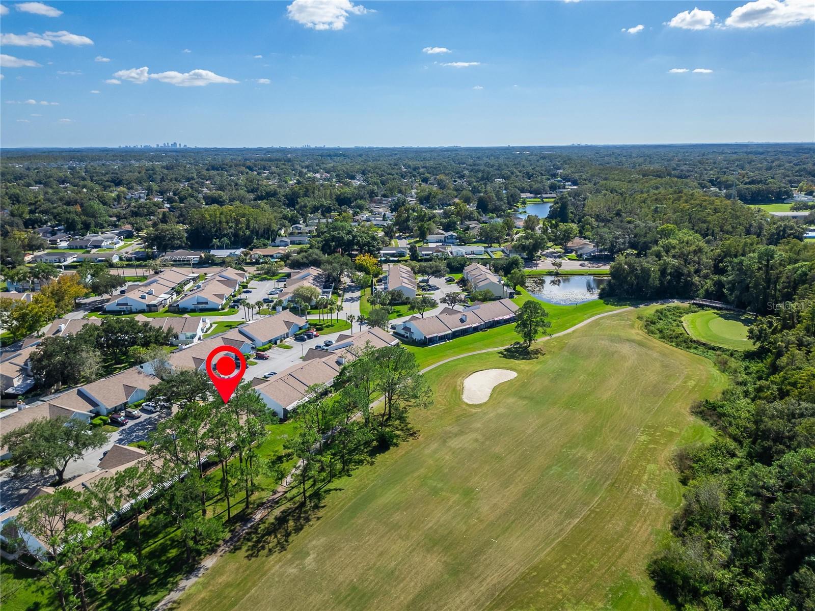 16216 RAMBLING VINE DRIVE W, Tampa, FL 33624