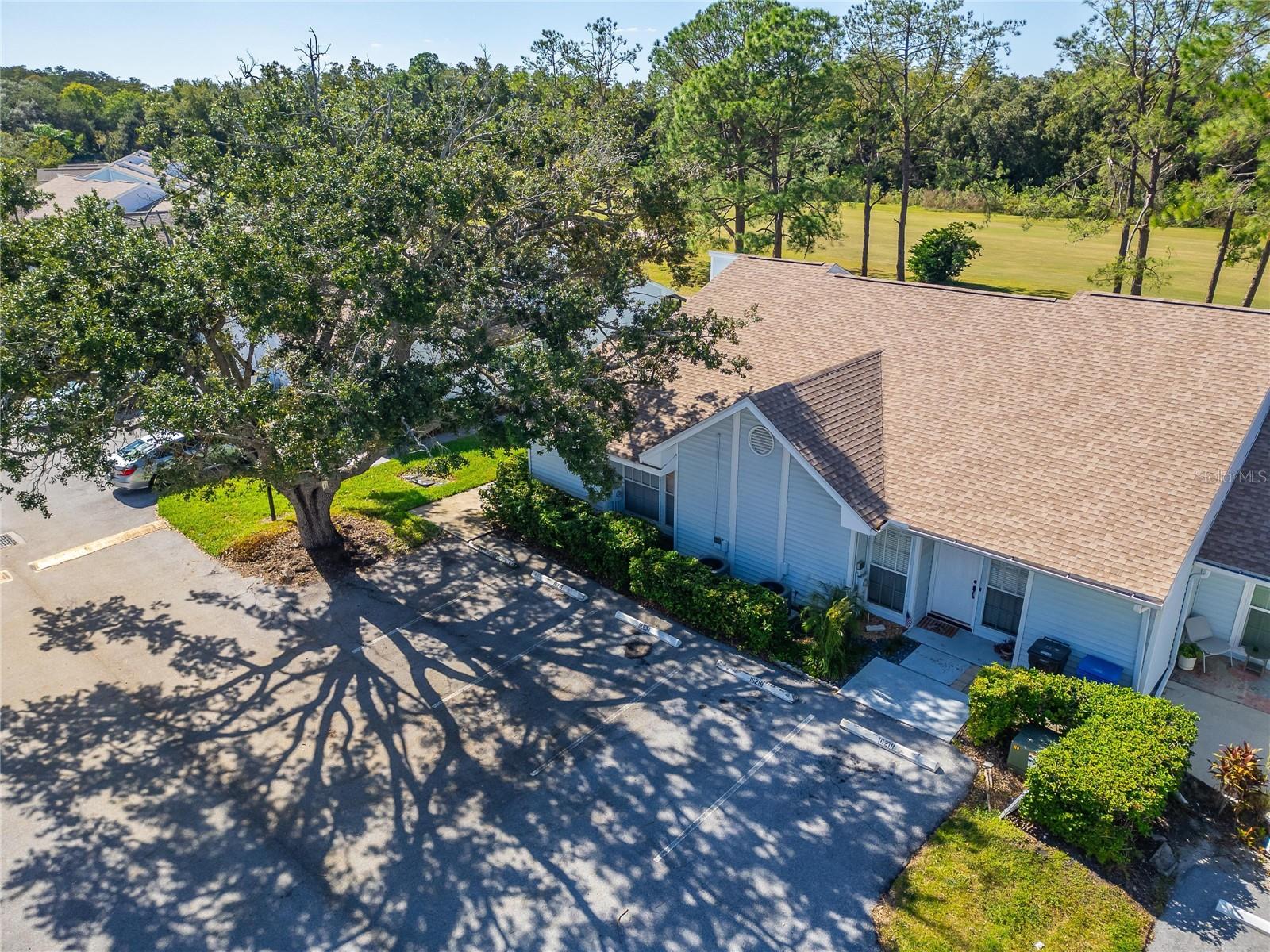 16216 RAMBLING VINE DRIVE W, Tampa, FL 33624