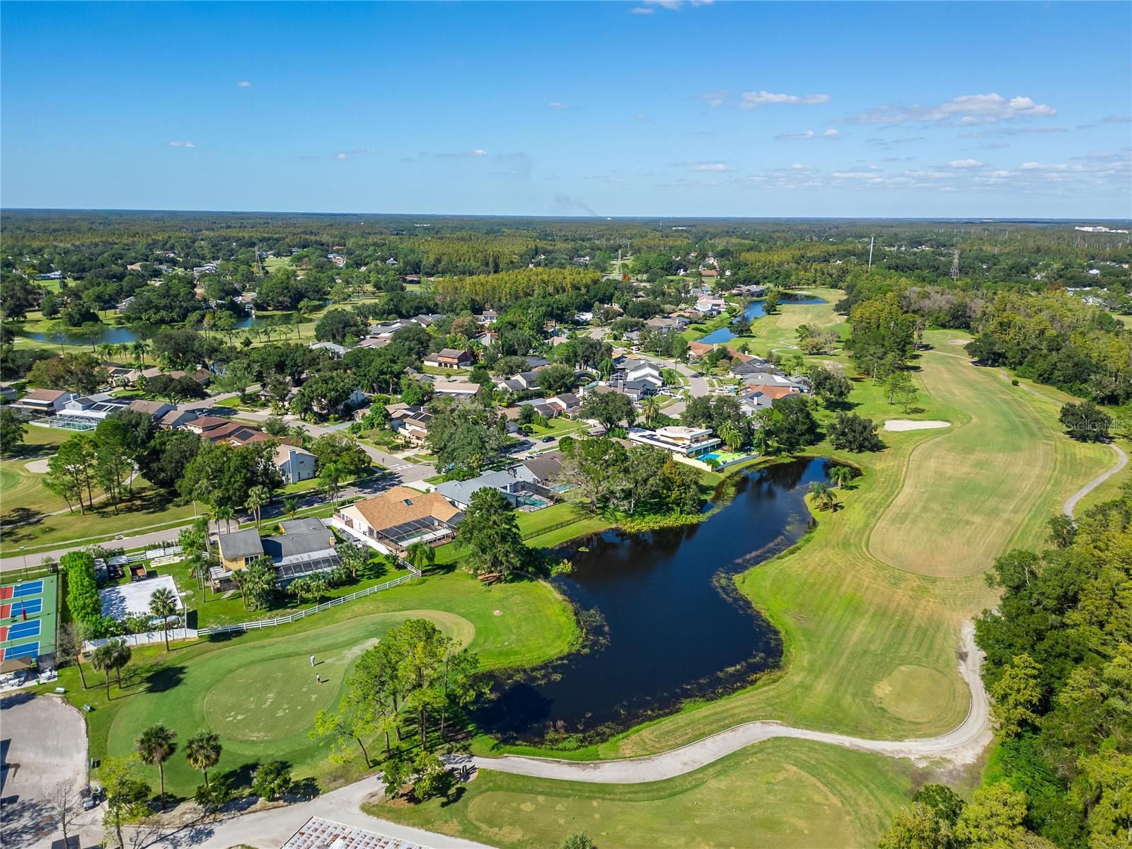 16216 RAMBLING VINE DRIVE W, Tampa, FL 33624