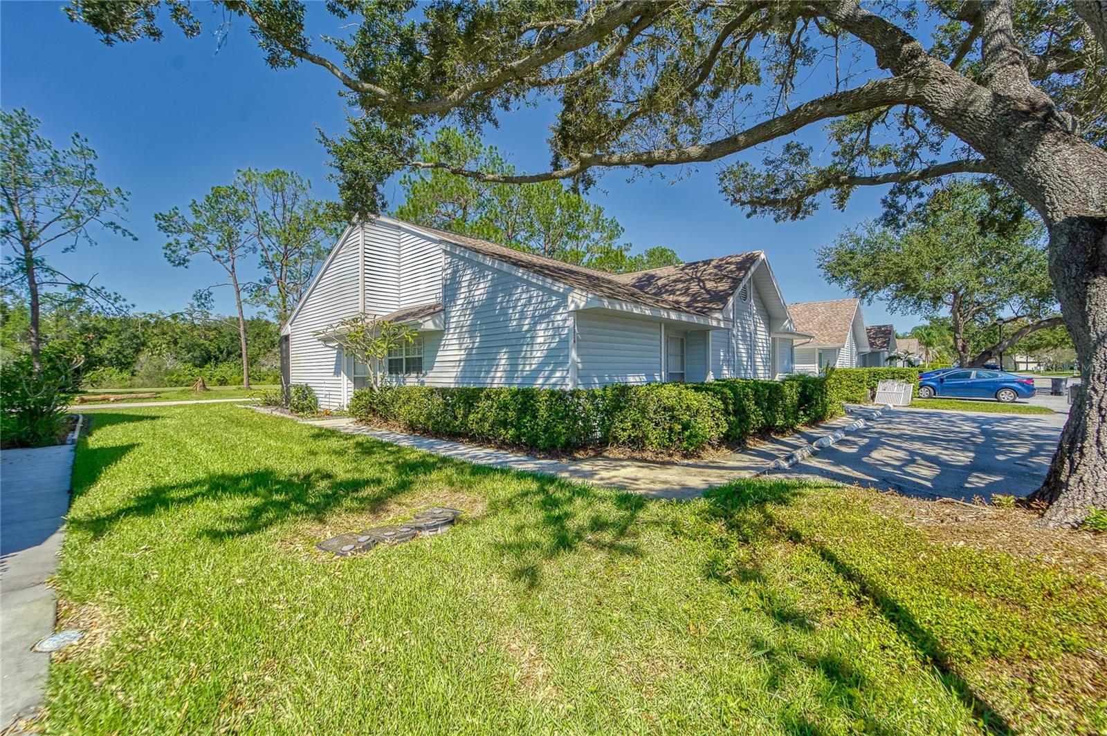 16216 RAMBLING VINE DRIVE W, Tampa, FL 33624