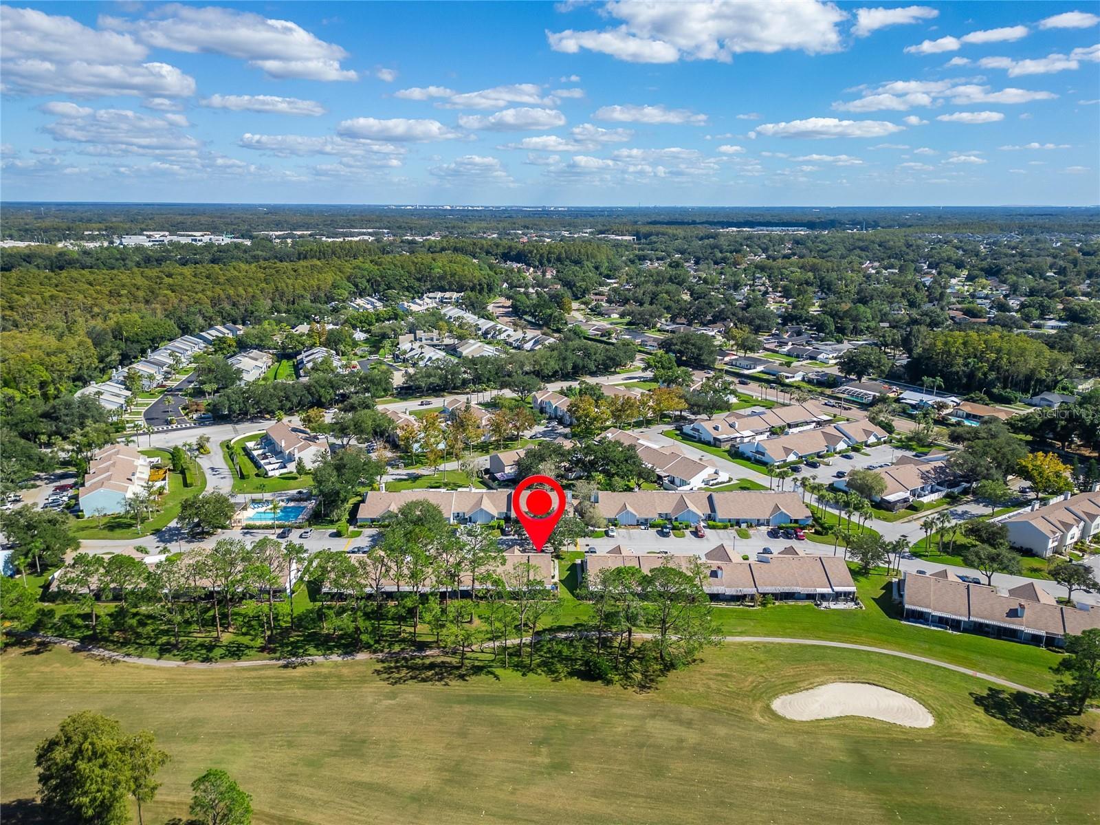 16216 RAMBLING VINE DRIVE W, Tampa, FL 33624